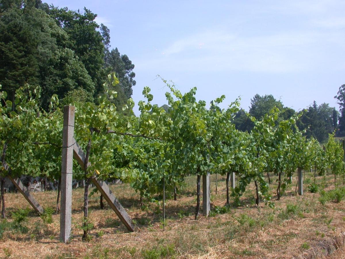 Quinta Da Tapada Villa Lousada Eksteriør billede