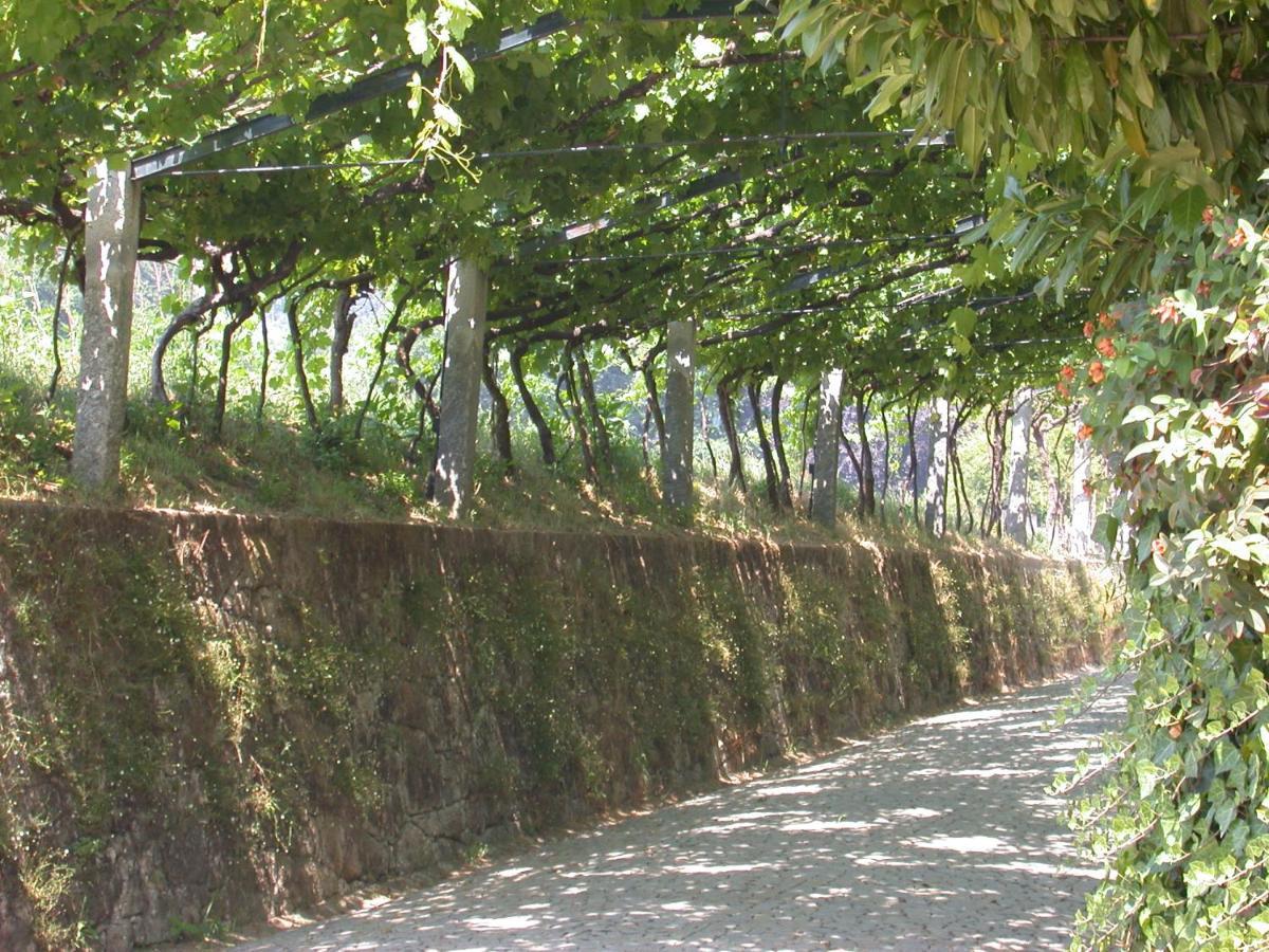 Quinta Da Tapada Villa Lousada Eksteriør billede