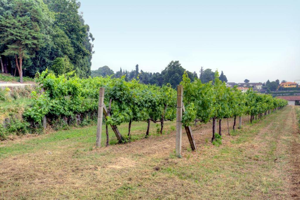 Quinta Da Tapada Villa Lousada Eksteriør billede